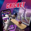 Cricket betting